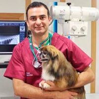 dr.-Stefano-Pantano-Chirurgo-e-diagnostica-per-immagini